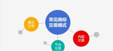 探索知識產權證券化，建設交易中心 推動知識產權服務高質量發展